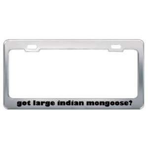 Got Large Indian Mongoose? Animals Pets Metal License Plate Frame 