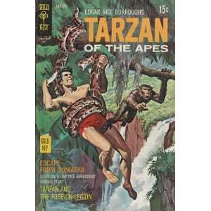  ics   Tarzan #193 Comic Book (Jul 1970) Fine 