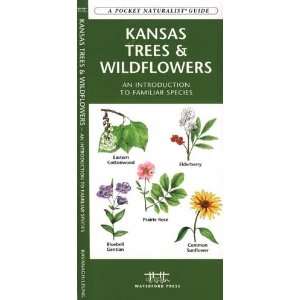  Folding Pocket Guide   Kansas Trees & Wildflowers 