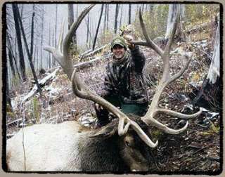 elk hunting, outfitters, guide, guides, Idaho hunting guide, Pony 
