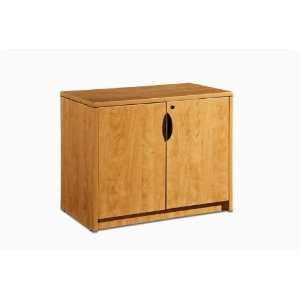  2 Door Storage Cabinet With Lock: Office Products