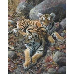Carl Brenders   Endangered Ambassadors   Tiger Cubs Canvas Giclee 