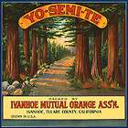 crate label yosemite ivanhoe tulare california vintage poster repro 12