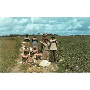 Post Card: Time Out for Watermelon down South, Color by W. Bradley ICS 