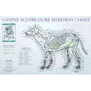  Meridian Chart