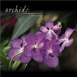  Orchids 2004 12 month Wall Calendar (9780768362077) Cedco 