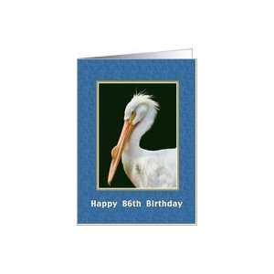    Birthday, 86th, American White Pelican Bird Card Card Toys & Games