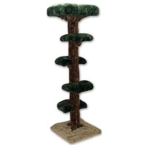    Beatrise Pet Products 7 Foot Paw Paw Tree BP133: Pet Supplies
