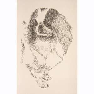    Japanese Chin Lithograph Signed by Stephen Kline