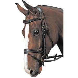   Werth For Joy Flash Bridle with Reins Black, Full: Sports & Outdoors