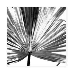  Black and White Palm III by J. Johnson 10x10 Everything 