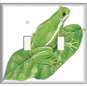  Double Switch Plate   Green Frog: Home Improvement