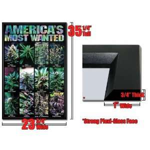    Framed America S Most Wanted Poster Marijuana Fr179