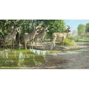 Ron Van Gilder   All Aglow   Roan Antelope Canvas Giclee  