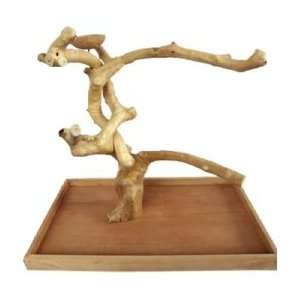  Java Wood Tree Play Stand Parrot Large Table Top AE500L 