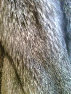 today s dressed pelts selling quality furs for over 40 years we are 