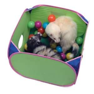  Marshall Pet Products Pop N Play Ball Pit: Pet Supplies