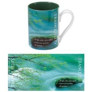  Successories Tranquility 2 Tone 14oz Ceramic Mug Kitchen 