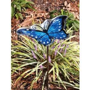  Evergreen Garden Blue Butterfly birdfeeder with garden 