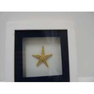  Wood Plaque Shells (Starfish) (White and Blue Frame 