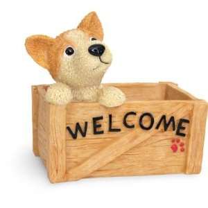 Chihuahua in a Crate Planter/Welcome Sign 