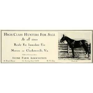   Morven Virginia Equine Equestrian   Original Print Ad