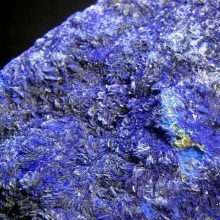 6LB deep blue AZURITE crystal crust&Malachite  AZ147  
