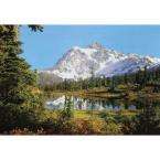  12 ft. 9 in. x 8 ft. 10 in. Rocky Mountains Mural