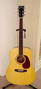 Potomac PVD 18 Mahogany Acoustic Guitar  