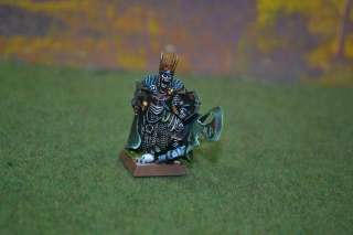 Warhammer DPS painted Vampire Counts Wight King VC036  