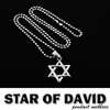 Star Of David Pendant Necklace 22 inches chain link  