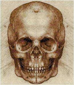 Da Vinci Skull Sketch Counted Cross Stitch Pattern Art  
