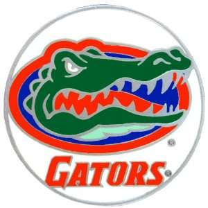 Set of 2 Florida Gators Lapel Pin   NCAA College Athletics   Fan Shop 