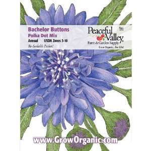  Bachelor Buttons Seed Pack Patio, Lawn & Garden