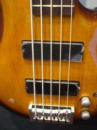 NEW Cort Curbow 52 5 String Bass Bartolini PkUp  