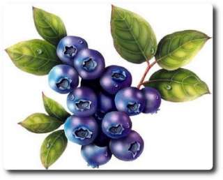   Blueberry   50 Seeds   High Yielding Blue Berries Perennial Plants