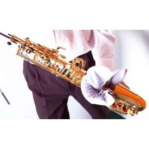   Swabs Alto Sax / Tenor Sax / Bass Clarinet: Musical Instruments