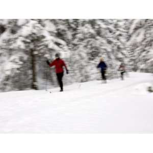Cross Country Skiing on Spray River Trail, Banff, Alberta Photographic 