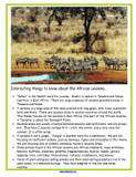 AFRICAN ANIMAL SAFARI / Zoo Theme Preschool Curriculum  