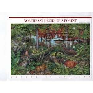  Northeast Deciduous Forest First day canceled Envelope 