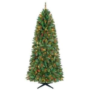 Jaclyn Smith 7ft Stratford Slim Pine Christmas Tree with Multi color 