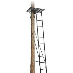  Big Dog Treestand 2010 5 Ladder Extension: Sports 