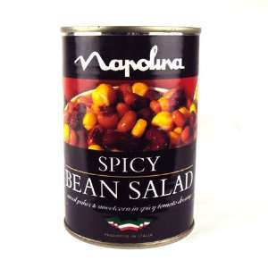 Napolina/Princes Spicy Bean Salad 400g  Grocery & Gourmet 