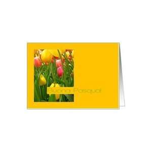  mixed tulips italian easter greeting Card Health 