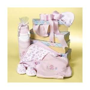    Baby Girl Gift Basket   Complete Layette Set