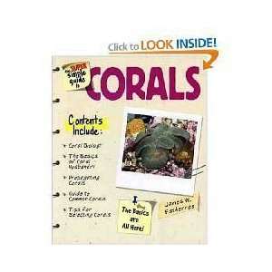  Top Quality Super Simple Guide To Corals