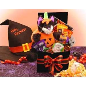 Happy Halloween Gift Box with Plush Black Cat  Grocery 