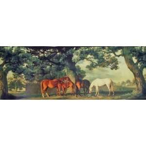   Horses Green Pastures and Trees Border by York 1 Roll