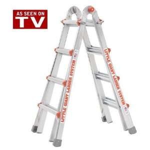   Ladder #10103LGWD Model 22 Type 1A 300lb Rated with Free Work Platform